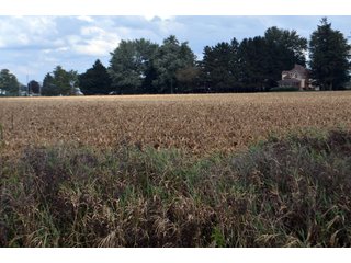Property photo 95 - EHLE FARMS AUCTION - 118+/- ACRES IN 9 TRACTS IN ALLEN COUNTY, INDIANA